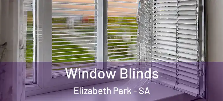 Window Blinds Elizabeth Park - SA