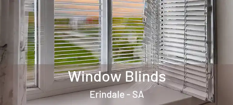 Window Blinds Erindale - SA