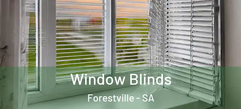 Window Blinds Forestville - SA