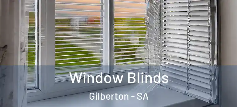 Window Blinds Gilberton - SA