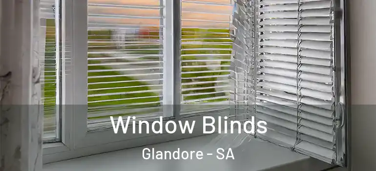 Window Blinds Glandore - SA
