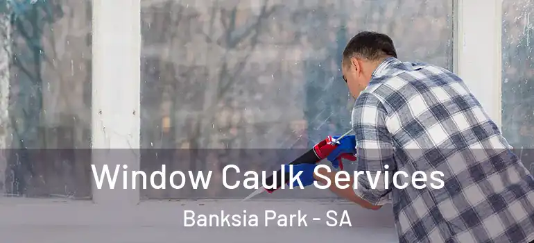 Window Caulk Services Banksia Park - SA