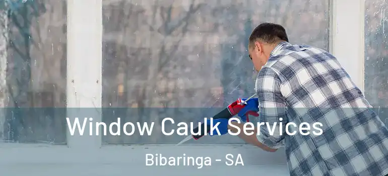 Window Caulk Services Bibaringa - SA