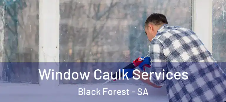 Window Caulk Services Black Forest - SA