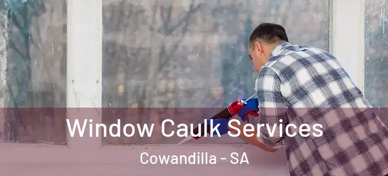Window Caulk Services Cowandilla - SA