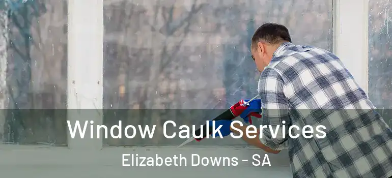Window Caulk Services Elizabeth Downs - SA