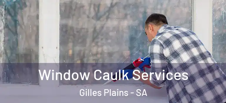 Window Caulk Services Gilles Plains - SA
