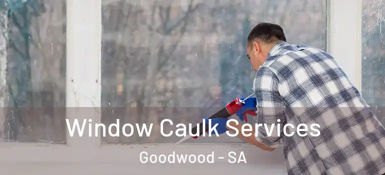 Window Caulk Services Goodwood - SA