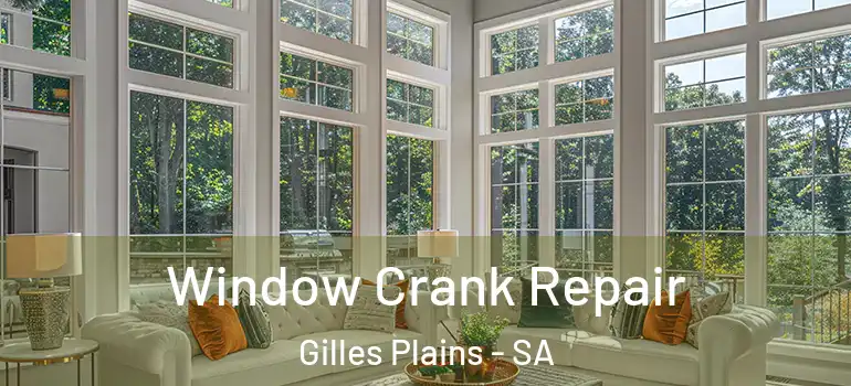 Window Crank Repair Gilles Plains - SA