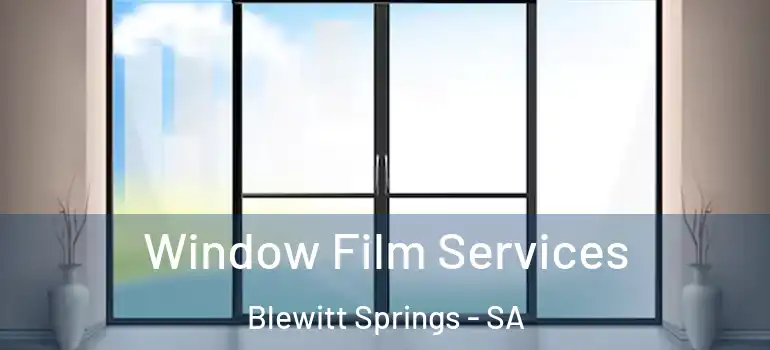 Window Film Services Blewitt Springs - SA