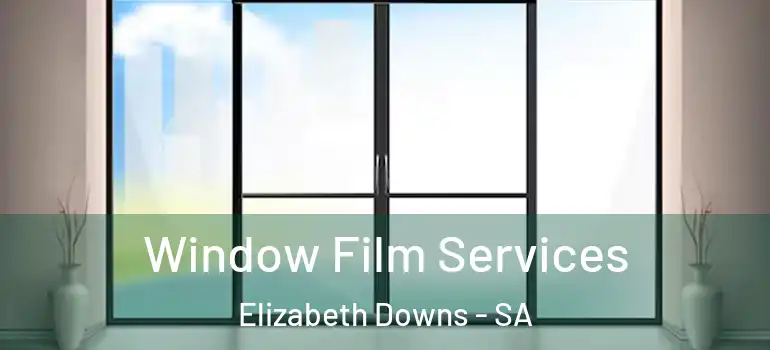 Window Film Services Elizabeth Downs - SA