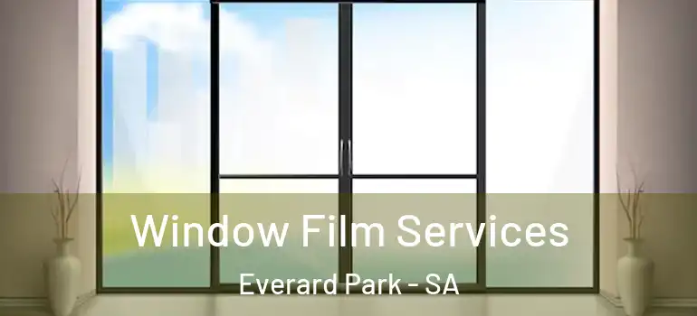 Window Film Services Everard Park - SA