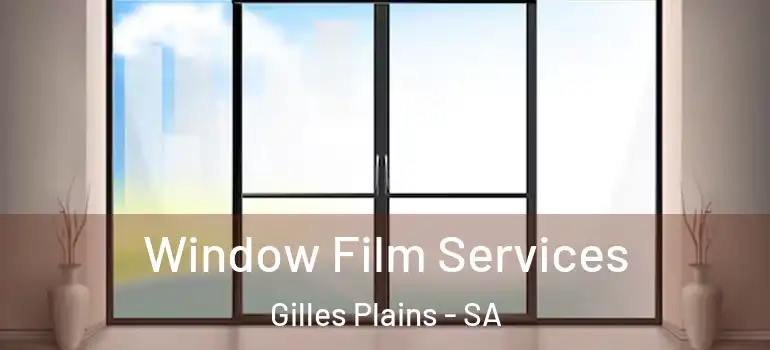 Window Film Services Gilles Plains - SA