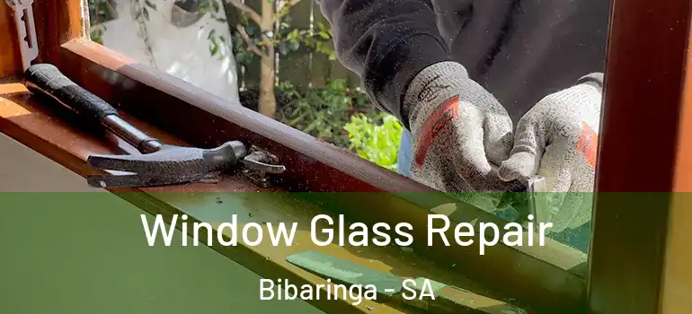 Window Glass Repair Bibaringa - SA
