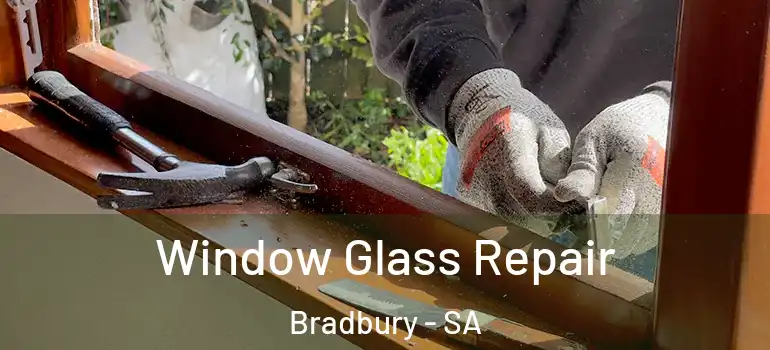 Window Glass Repair Bradbury - SA