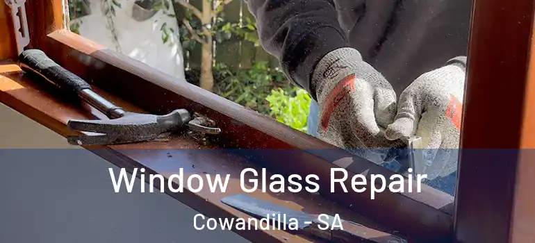 Window Glass Repair Cowandilla - SA