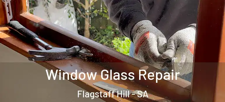 Window Glass Repair Flagstaff Hill - SA