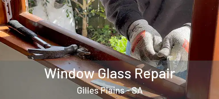 Window Glass Repair Gilles Plains - SA