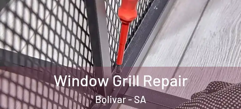 Window Grill Repair Bolivar - SA