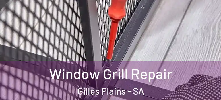 Window Grill Repair Gilles Plains - SA