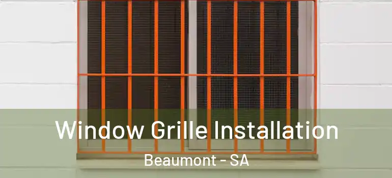 Window Grille Installation Beaumont - SA