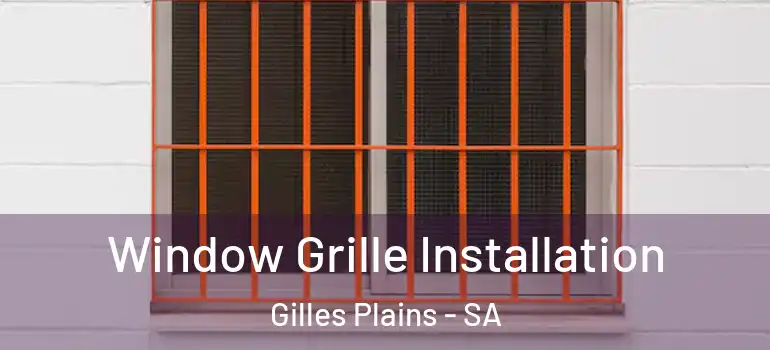 Window Grille Installation Gilles Plains - SA