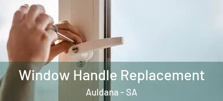 Window Handle Replacement Auldana - SA