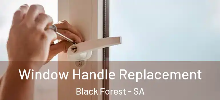 Window Handle Replacement Black Forest - SA