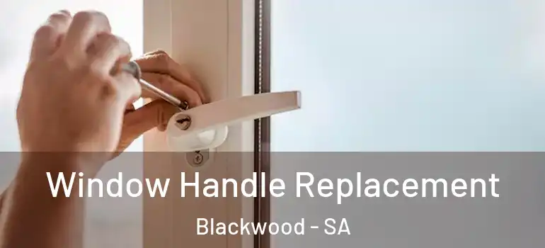  Window Handle Replacement Blackwood - SA