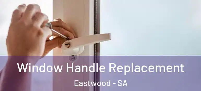  Window Handle Replacement Eastwood - SA