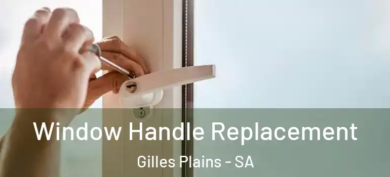 Window Handle Replacement Gilles Plains - SA