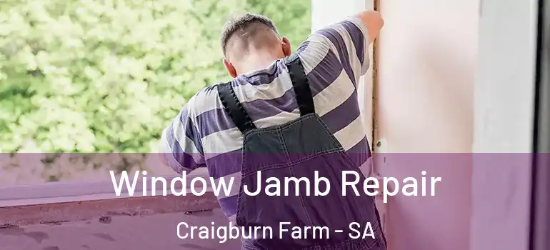 Window Jamb Repair Craigburn Farm - SA