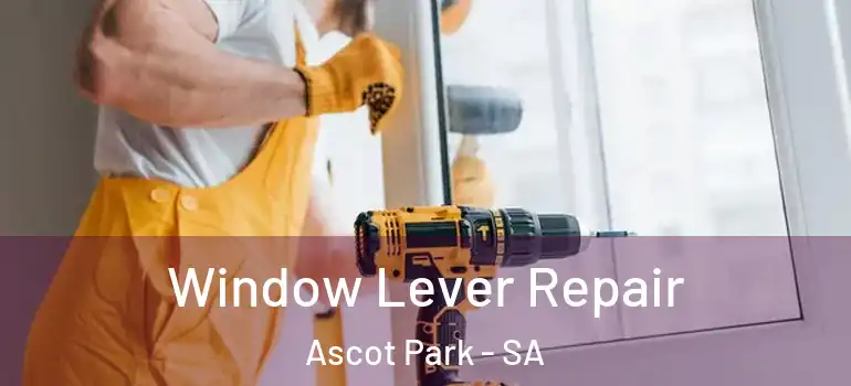 Window Lever Repair Ascot Park - SA