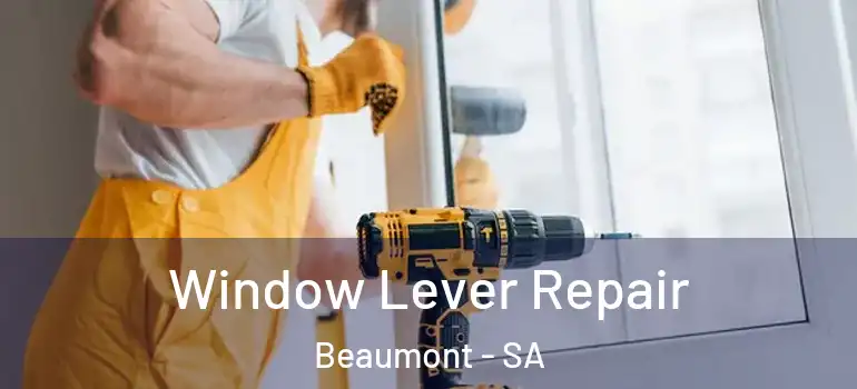 Window Lever Repair Beaumont - SA
