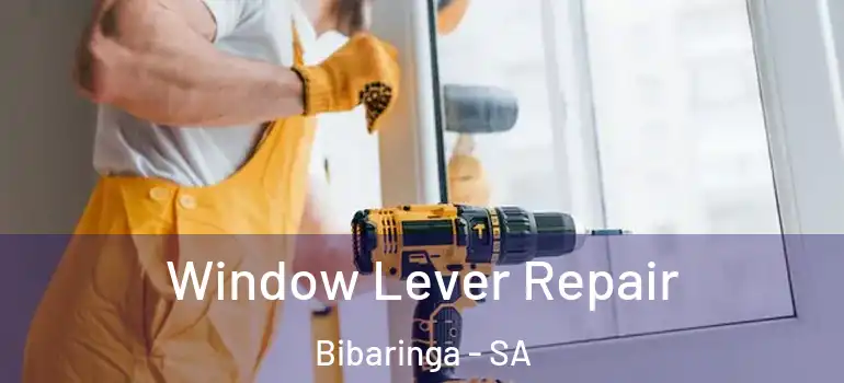 Window Lever Repair Bibaringa - SA