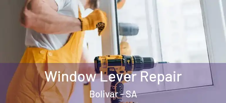 Window Lever Repair Bolivar - SA