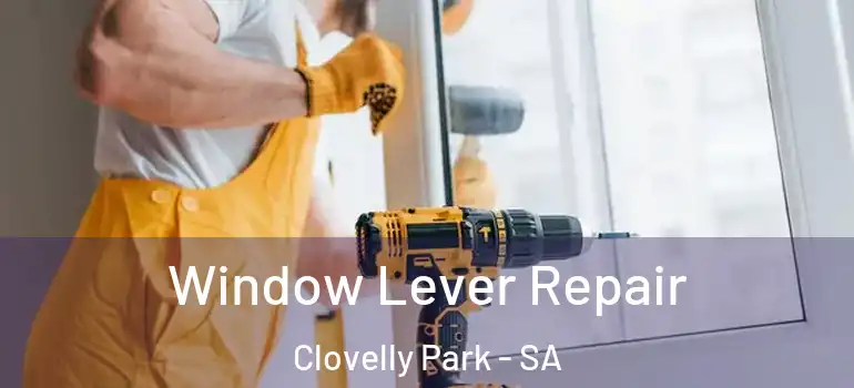 Window Lever Repair Clovelly Park - SA
