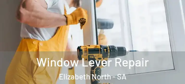 Window Lever Repair Elizabeth North - SA