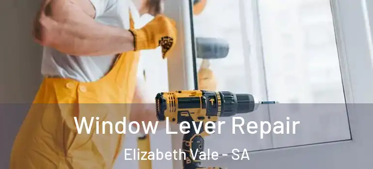 Window Lever Repair Elizabeth Vale - SA