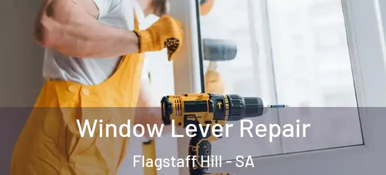 Window Lever Repair Flagstaff Hill - SA