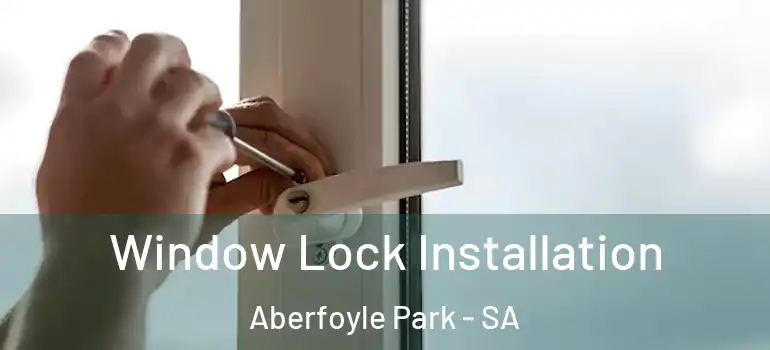 Window Lock Installation Aberfoyle Park - SA