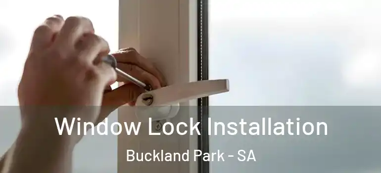 Window Lock Installation Buckland Park - SA