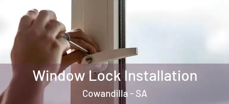 Window Lock Installation Cowandilla - SA