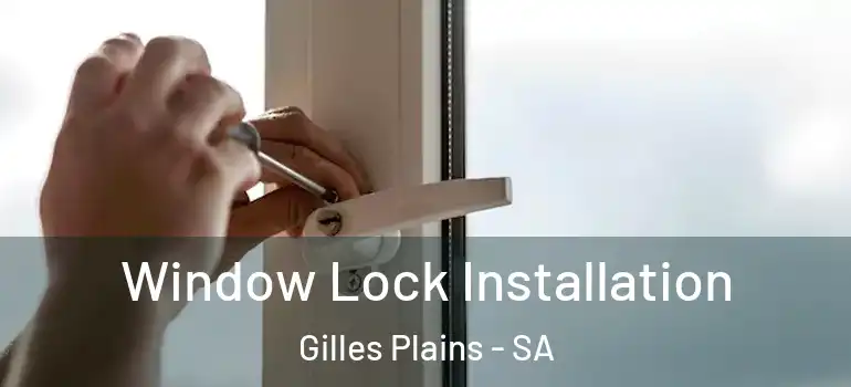 Window Lock Installation Gilles Plains - SA