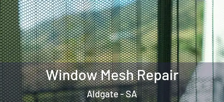 Window Mesh Repair Aldgate - SA