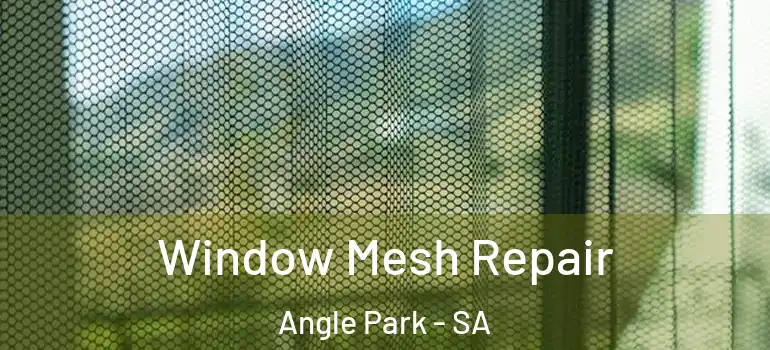 Window Mesh Repair Angle Park - SA