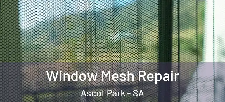 Window Mesh Repair Ascot Park - SA