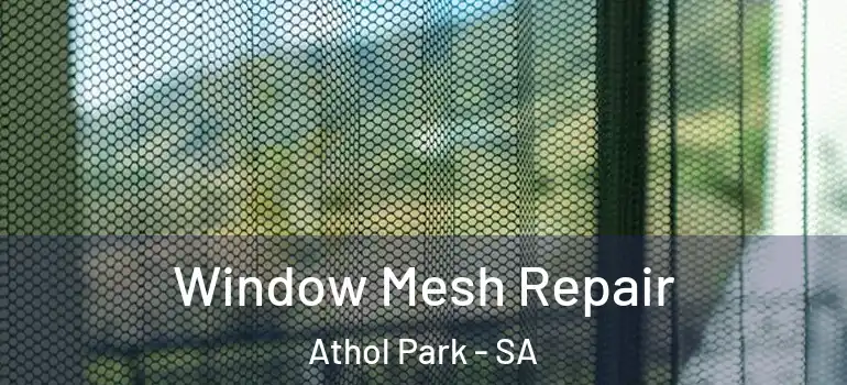 Window Mesh Repair Athol Park - SA