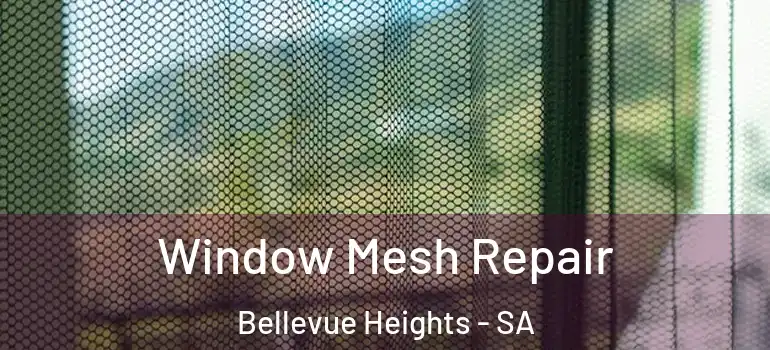 Window Mesh Repair Bellevue Heights - SA