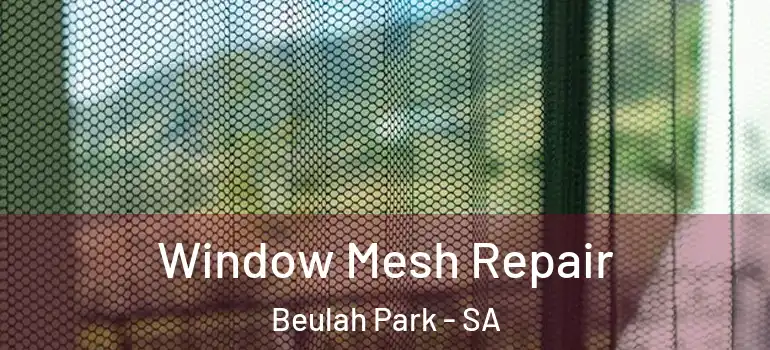 Window Mesh Repair Beulah Park - SA